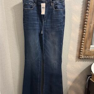 American Eagle Outfitters Dark Blue Flare Jeans